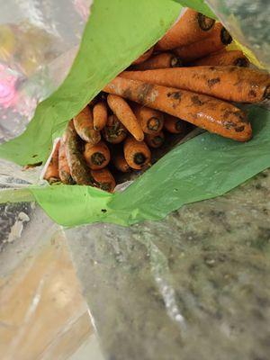 Rotten carrots - all they had to do was look at what they put in my bag