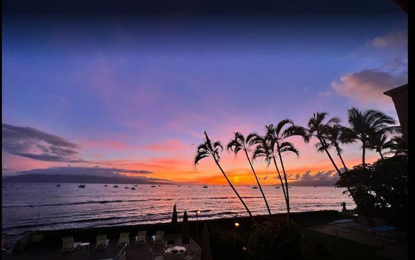 Maui Paradise Properties