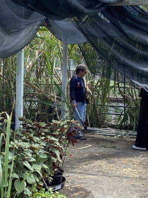 Magnolia Gardens Nursery