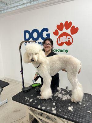 Dog Grooming USA & Groomer Artist Academy