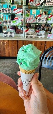 Mint chocolate chip