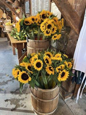 Sunflowers