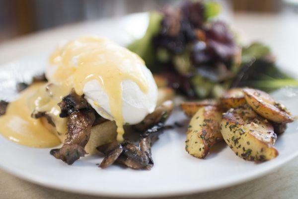 Wild Mushroom Eggs Benedict served daily