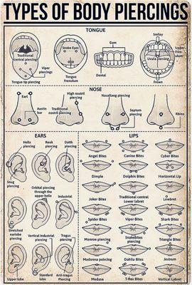 the types of piercings we do