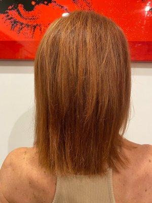 Copper color & front blonde piece & style by Bella Jade Salon suite 35