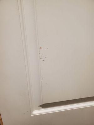 This is the door with some damage