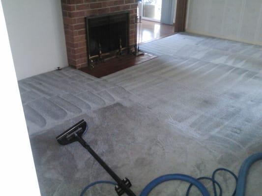 An Olefin Fiber type carpet. During the Cleaning Process...