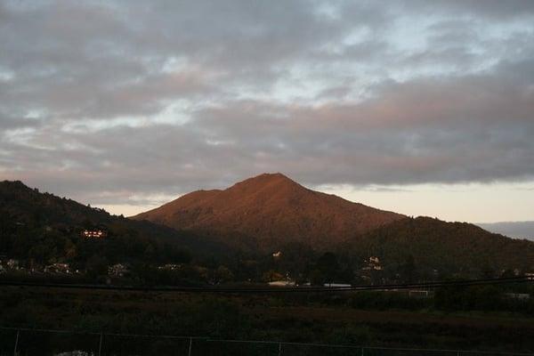 The view out our back door