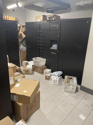 Mailrooms are a joke. With broken gates and doors, and security staff and cameras that hardly work, there is an abundance of package theft.