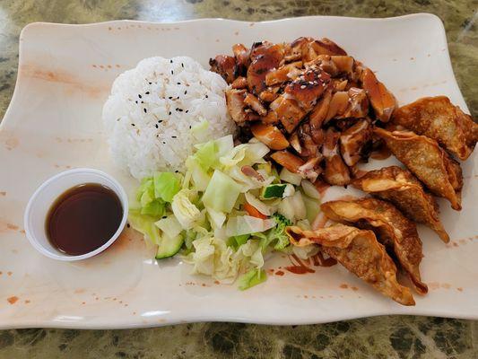 Teriyaki Chicken with rice and gyoza.