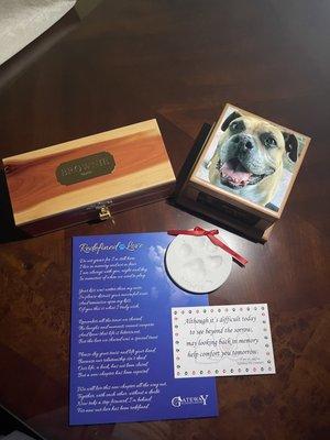 Brownie's Ashes and paw print