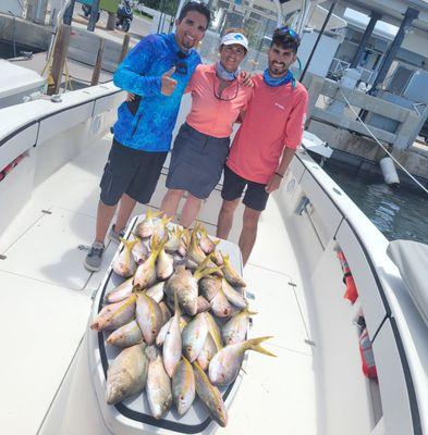 Yellowtail and mangrove snapper on the reef