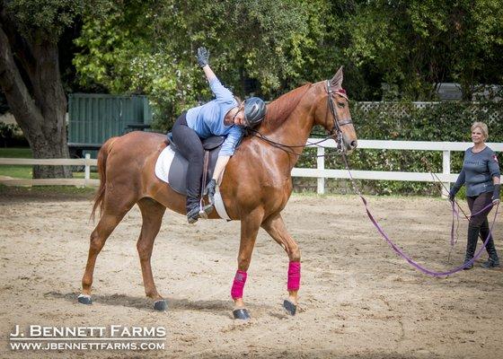 Saddle Seat lesson warm up exercises