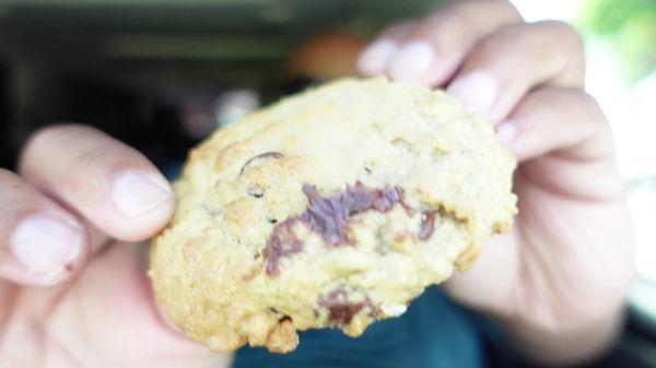 Delicious Chocolate Chip Cookies