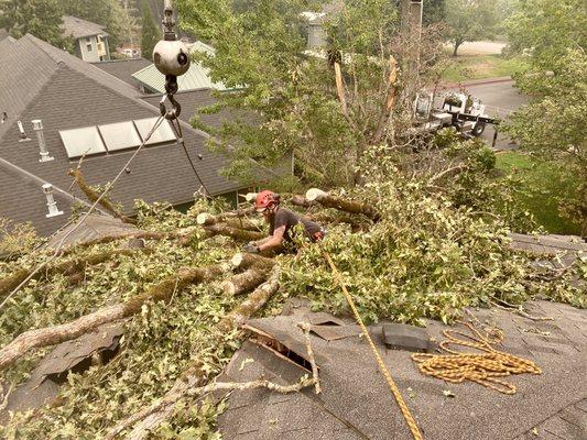 Emergency tree removal