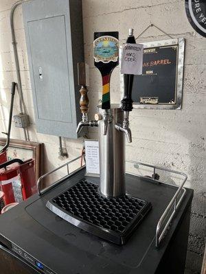 Beers on tap - complimentary samples!