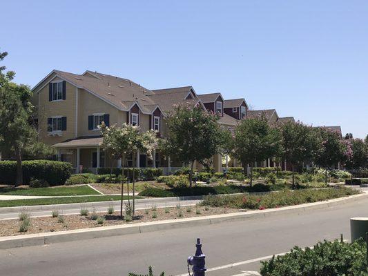 Open and airy neighborhood that is maintained and clean (June 2020).