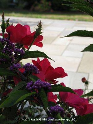 A backyard landscape featuring colorful plantings.