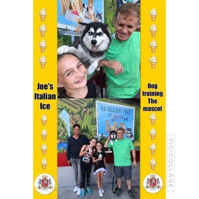 Dog training Orange County. Joe's Italian Ice Anaheim. Joey the company mascot is a mini husky. Dog Evolution dog training