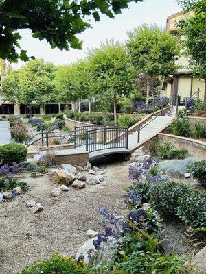 Gardens/courtyard