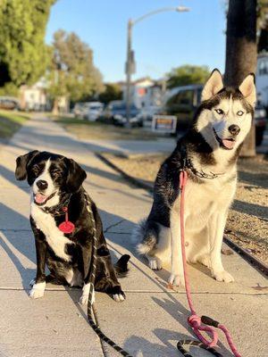 Lexi & Pluto having a great time on this beautiful day!