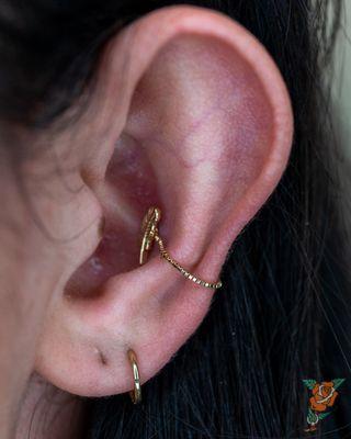 Healed conch piercing featuring 14 karat yellow gold feather and box chain