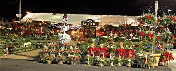 Winter - Christmas Storefront