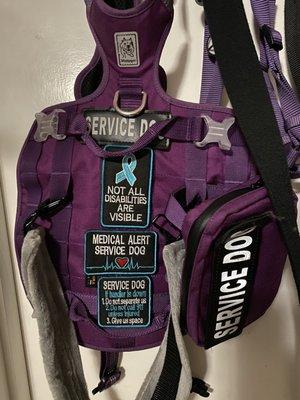 This is V's Service dog vest we took today. I guess I need to make the letters BIGGER because Tammy told me she didn't see them.