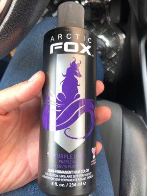 Artic Fox