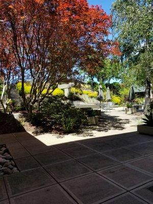 Outside area to enjoy the food