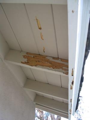 We specialize in termite and dryrot wood repair