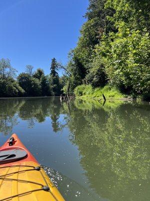 Alder Creek Kayak & Canoe