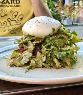 Fresh Burrata