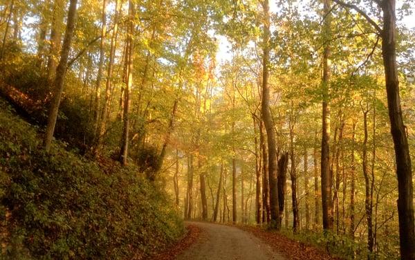 The Drive Home in the Fall by Teri R