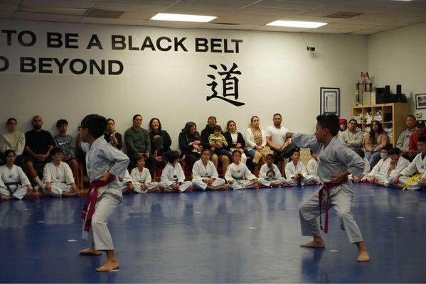 Color Belt Promotion Test