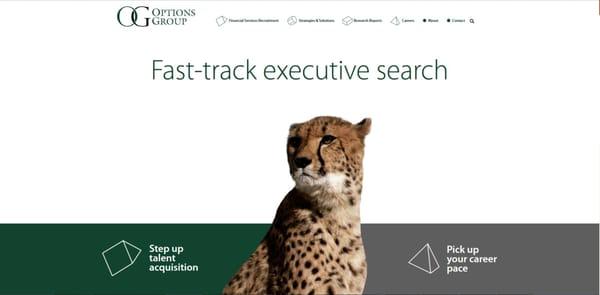 Fast-Track Executive Search