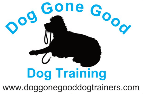 dog training