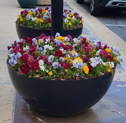 5'8'2022 Beautiful flower pots throughout shopping center!!