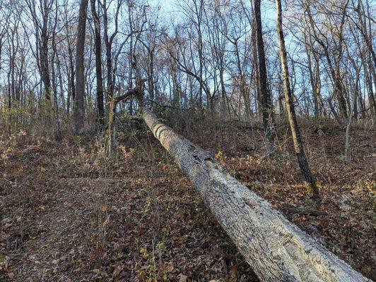 Appalachian Trail