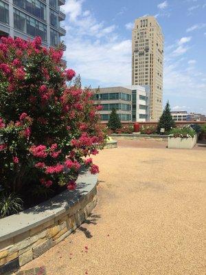 Rooftop terrace