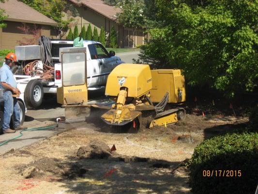 The Yard Guy, and his crew, did our yard make-over in a week's time. We are very pleased.