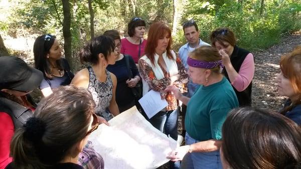 Guided nature hike in Deepdene Park