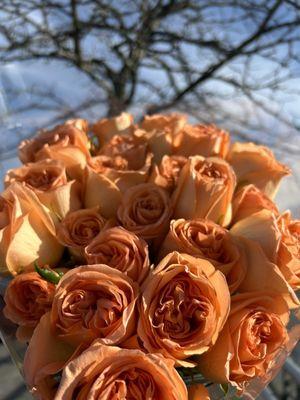 Two dozen roses (under $20) in Costco - absolutely stunning