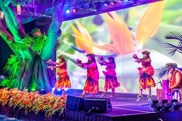 Hula Dancers