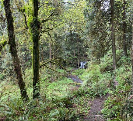 Paradise Point State Park