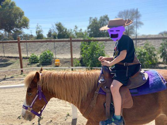 Lakewood Equestrian Center