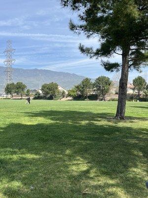 Large grassy area and shade