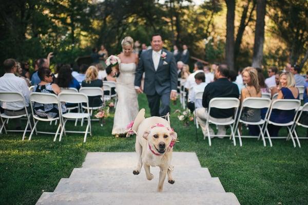 Sacramento Wedding and Portrait Photographer http://www.teresakphotography.com