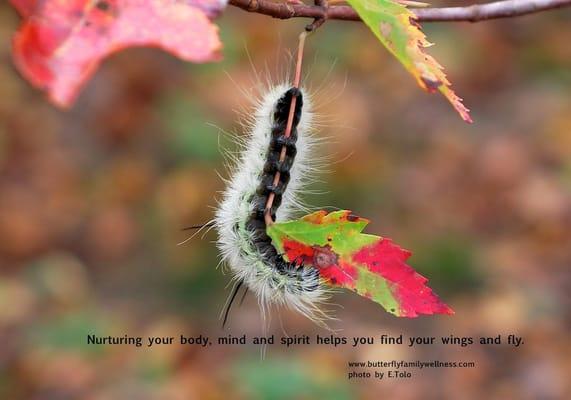 Butterfly Family Wellness