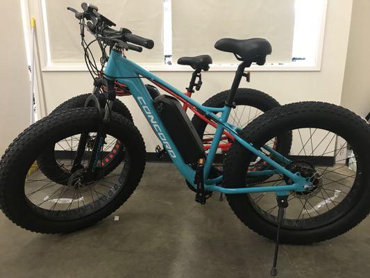 fat tire electric bike